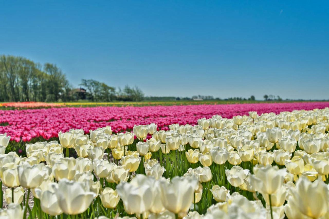 Villa Prinsenhof # Vijfentwintig 베르겐 외부 사진